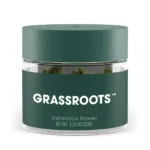 CAP Junky Popcorn Flower