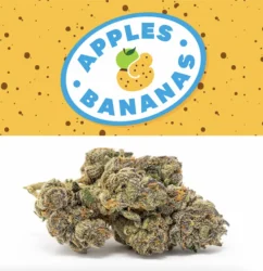 APPLES AND BANANAS STRAIN