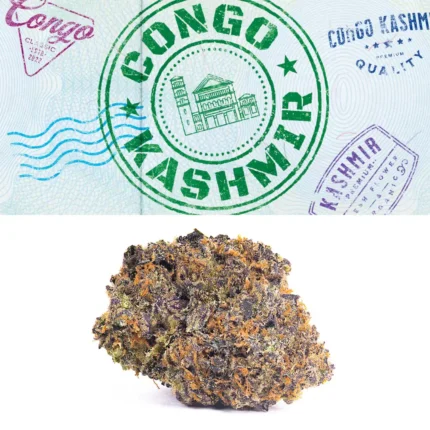 CONGO KASHMIR