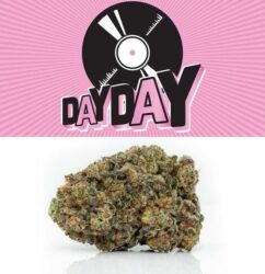 DAY DAY