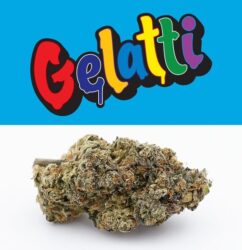 GELATTI