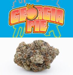 GEORGIA PIE