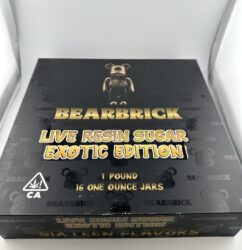 BearBrick