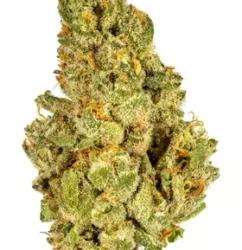 Weed in Los Angeles