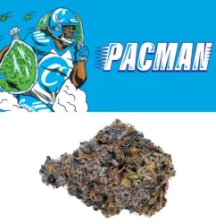 PACMAN STRAIN