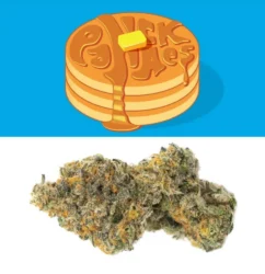 PANCAKES STRAIN