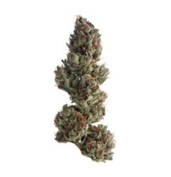 OG Runtz Strain