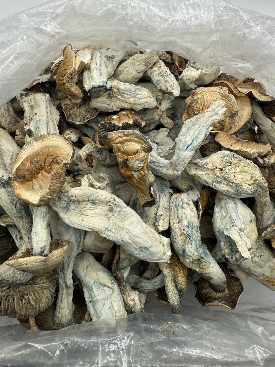 Mushrooms