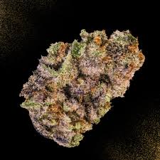 Banana Cream Pie strain