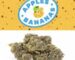 Apples and Bananas strain