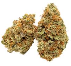 Banana Cream Pie strain