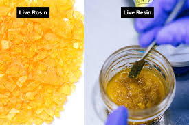 Live Rosin vs Live Resin